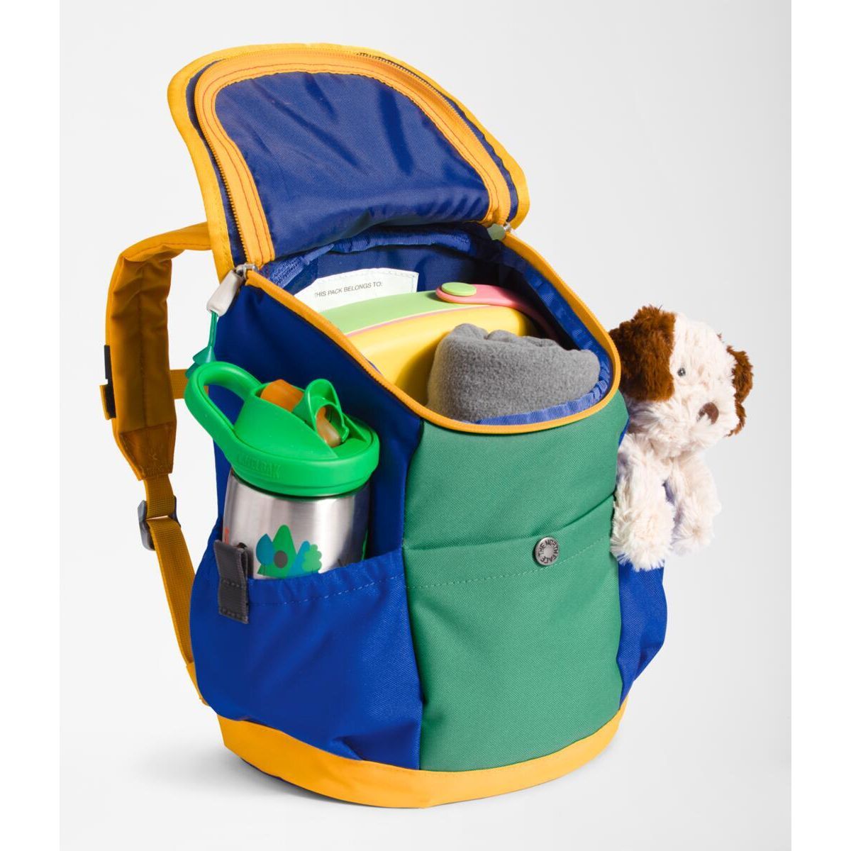 The North Face Youth Mini Explorer Backpack